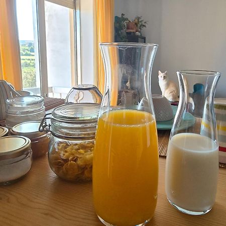 شقة The House Of Cats Oliveira do Douro  المظهر الخارجي الصورة